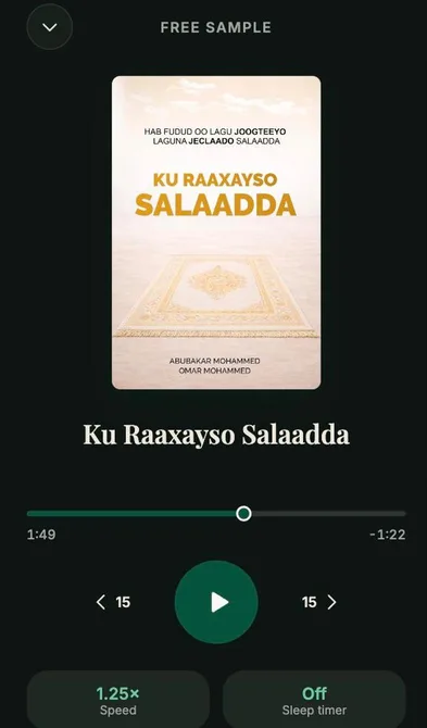 The audiobook player